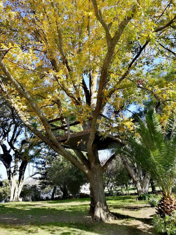 Le Arc Manor House Apartment Franschhoek Luaran gambar